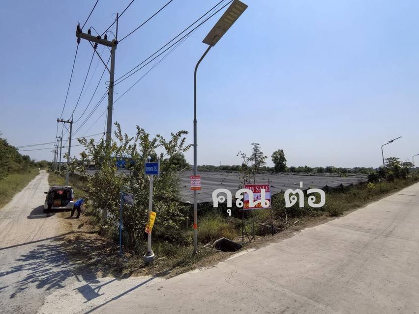ที่ดินแปลงมุม รังสิต คลอง3 ขนาด4.5ไร่ 5