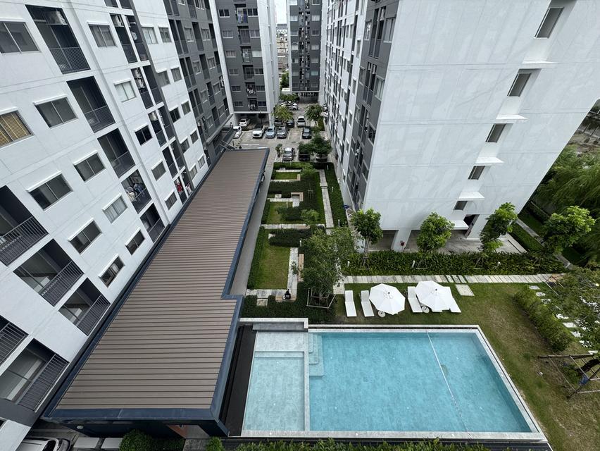 คอนโดเสนาคิทท์ ศรีนครินทร์ (ห้องใหม่) ขนาด 34 ตรม ให้เช่า 20