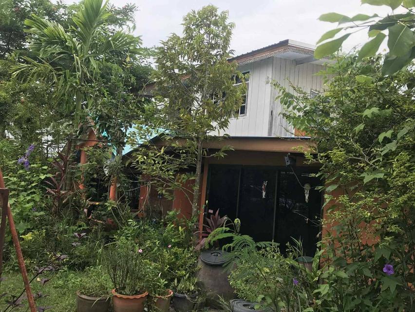 บ้านพร้อมที่ดิน 1
