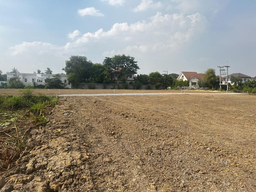 ขายที่ดินจัดสรรสวนเกษตรไผ่ขวาง 7 แปลง 7