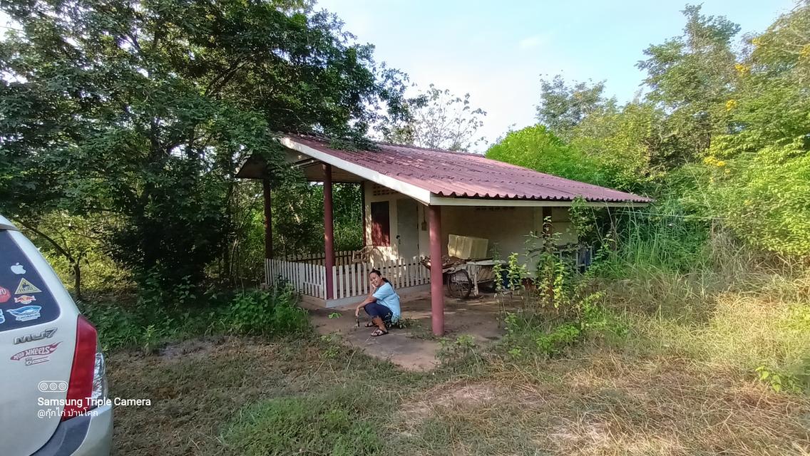ยังขายอยู่นะครับบ้านสวนพร้อมที่ดิน จ.หนองคายครับ อยู่ในเขต บ้านหนองสองห้อง อ.เมือง หมู่ 8 เนื้อที่ 2 ไร่ 3.3 ตร.ว ติดทางสาธารณะ 2 ด้านเลย 11