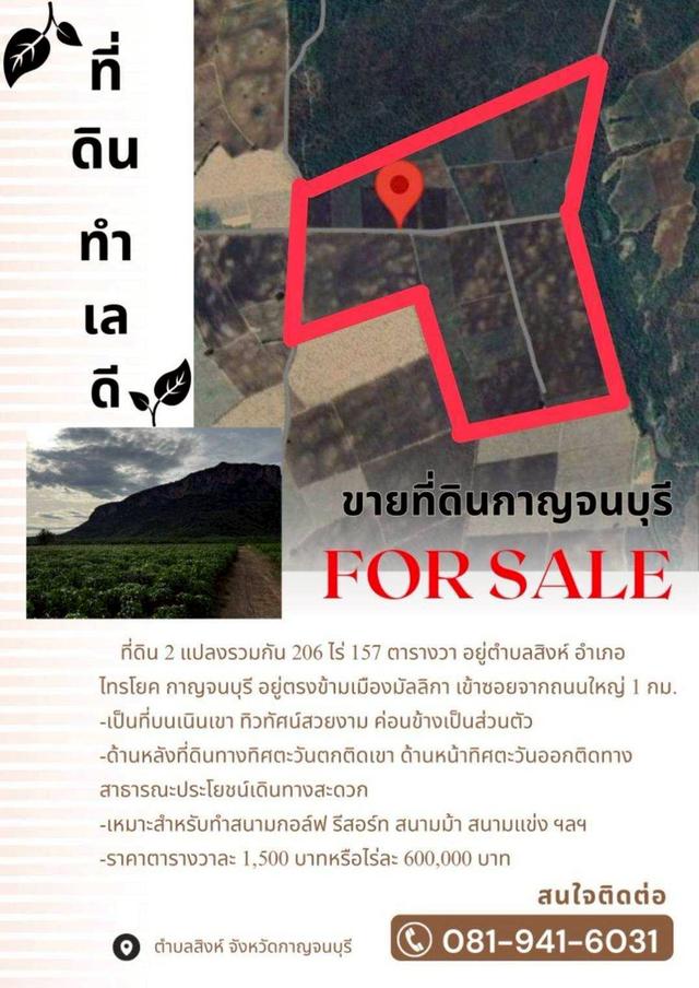 ขายที่ดิน206ไร่ ต.ไทรโยค ติดถนน ติดภูเขา ทำเลทอง  1