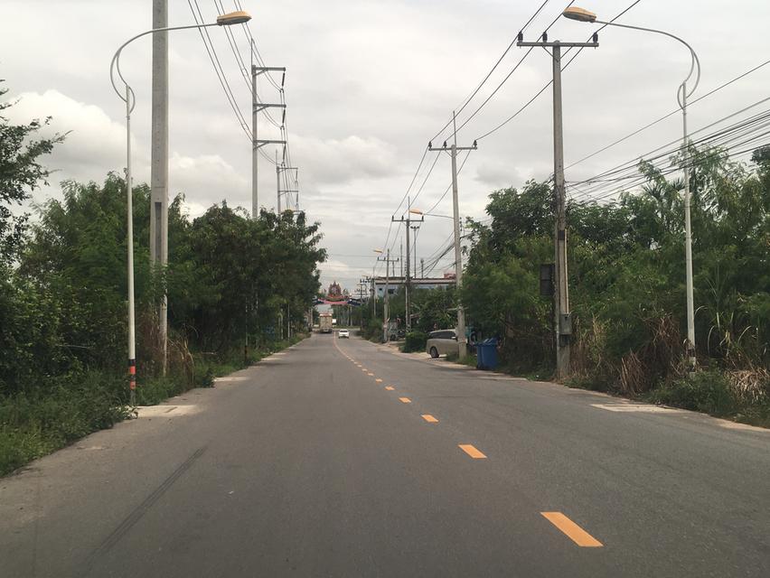 ขายที่ดินหนองขามใกล้นิคมปิ่นทอง1 ศรีราชา ชลบุรี เนื้อที่ 24 ไร่หน้ากว้าง 100เมตร เหมาะพัฒนาอสังหาริมทรัพย์ ที่ดินห่างจากถนน331 ประมาณ 150เมตร 7