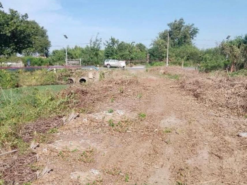 ที่ดินติดน้ำ เมืองนครปฐม 6