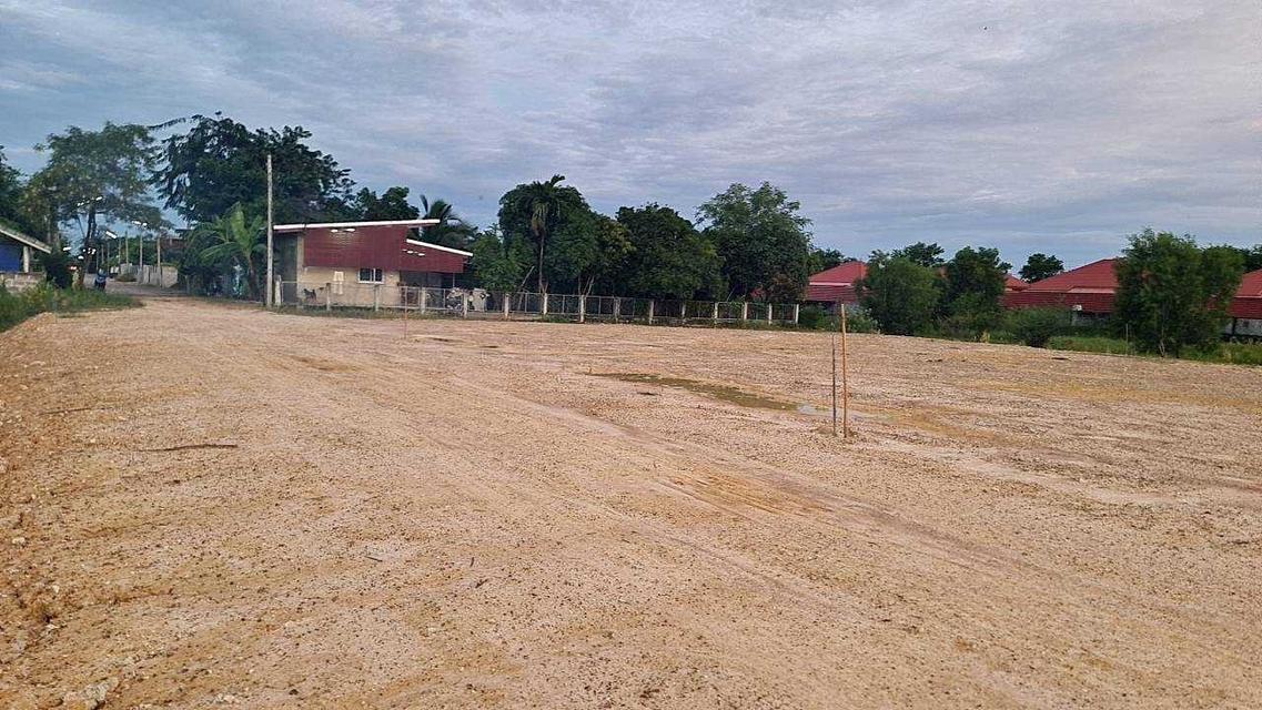 ขายที่ดินสวย ตำบลบ้านหม้อ จังหวัดเพชรบุรี 130 ตร.ว./แปลง ติดถนน 1326 5