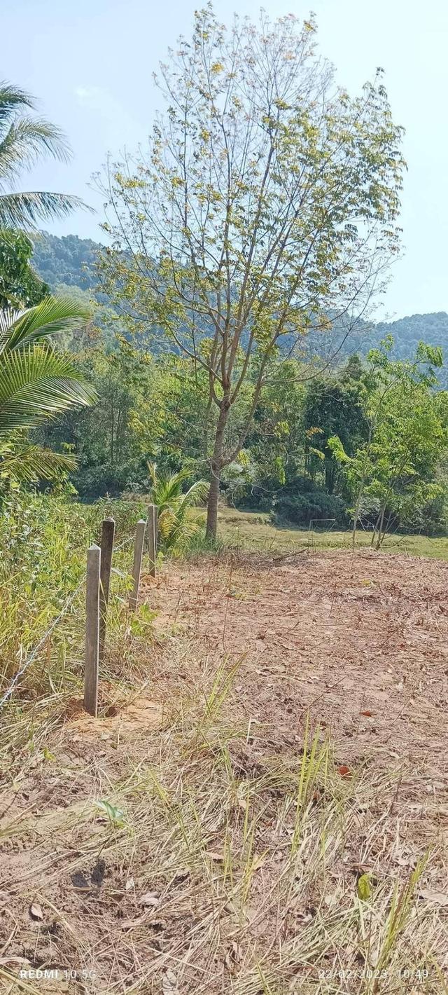 Land on Koh yao yai near the beach for sale 2