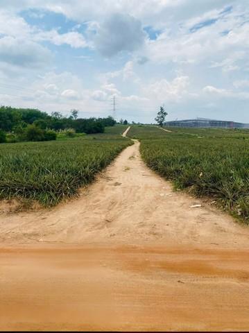 ขายที่ดินผังม่วงนิคมพัฒนาระยอง ขายที่ดินเนื้อที่ 23-2-12 ไร่ใกล้นิคมอุตสาหกรรมปิ่นทอง 6 ผังสีม่วง 2