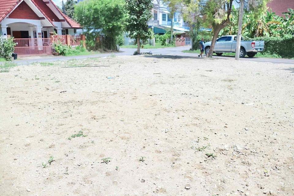 ที่ดินถมแล้ว 72 ตรว ดอนแก้ว แม่ริม เจ้าของขายเอง 2