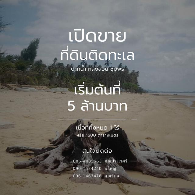 ขายที่ดินครับ หลังสวน จังหวัดชุมพร มีที่ติดทะเล 1,600 ตารางเมตร (1 ไร่)  สนใจสอบถามได้เลย ขอบคุณมากครับ 1