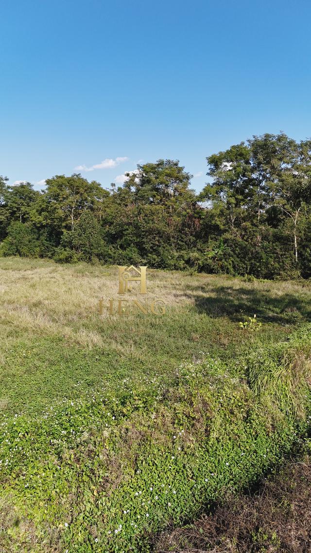 ขายที่ดินติดถนน อ.พาน เชียงราย วิวภูเขา บรรยากาศเงียบสงบ 4