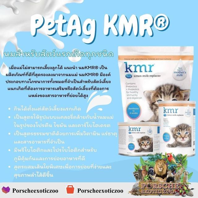 อาหารและอุปกรณ์สัตว์เลี้ยง