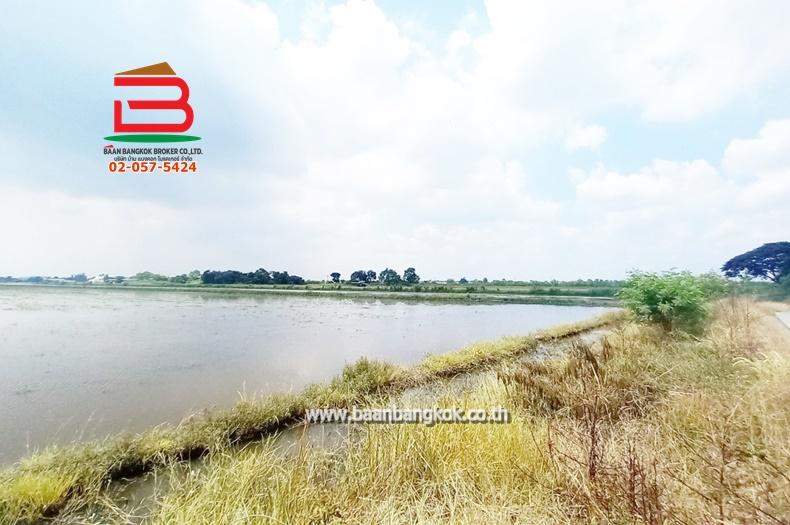 ที่ดินเปล่า ถนนเลียบตะวันออกคลอง 7, เทศบาลลำลูกกา ซอย 3 เนื้อที่ 84-1-19 ไร่ ตำบลลำลูกกา อำเภอลำลูกกา จังหวัดปทุมธานี 5