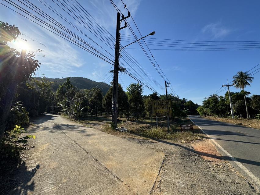 ขายที่ดิน เกาะช้าง จังหวัดตราด พร้อมต้นทุเรียนพร้อมเก็บผลผลิต 1