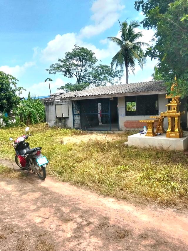 บ้านสวนdjjewshklkjjfs 1