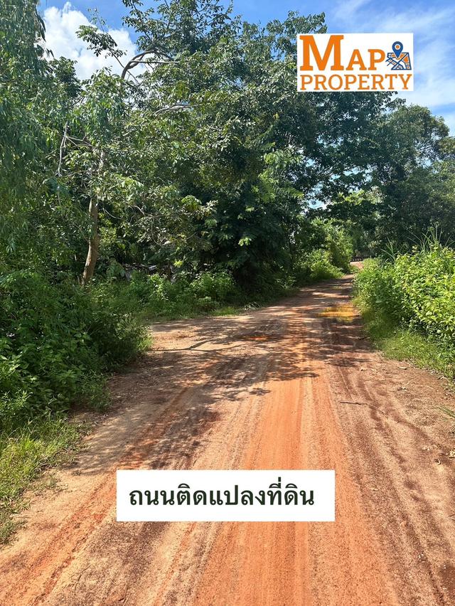 ขายที่นาแปลงสวย แปลงมุมติดถนน 2 ด้าน เนื้อที่ 9 ไร่กว่า ทำเลดีมีอนาคต 8