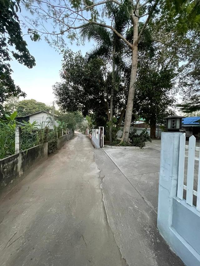 บ้าน และที่ดินจังหวัดโคราช 9