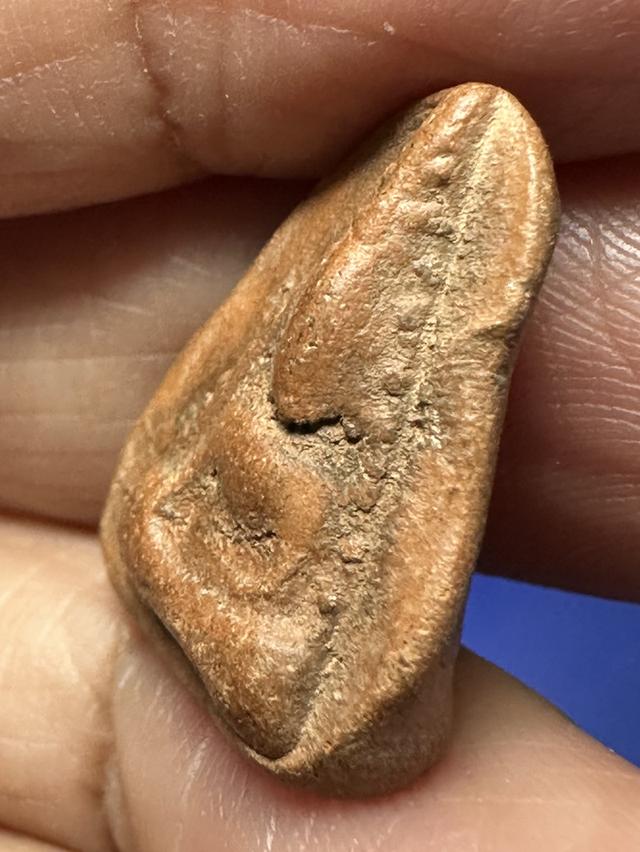 พระนางพิจิตร ข้างเม็ด รูปที่ 4