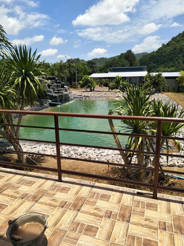 ขายที่ดินพร้อมบ้าน 3 หลัง เนื่อที่ 9 ไร่ 3 งาน 39 ตรว. 6