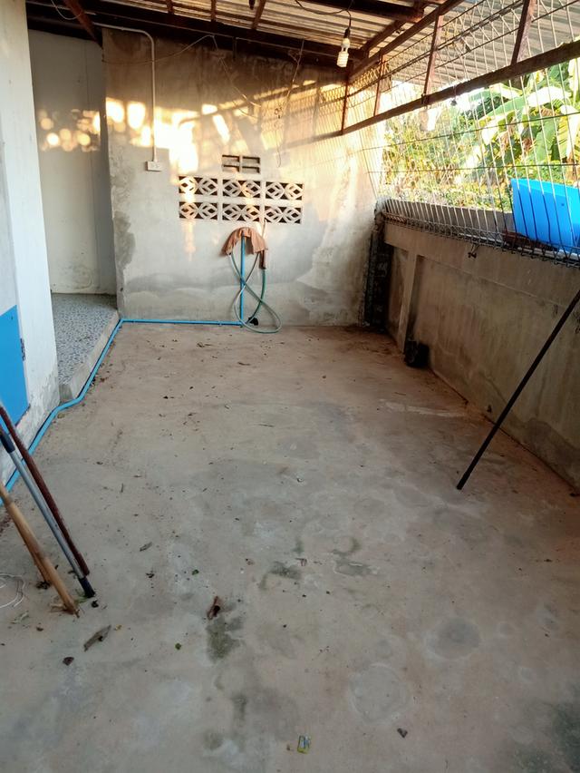 ขายบ้านพร้อมที่ดินสิ่งปลูกสร้าง 12