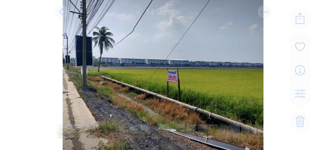 ให้เช่าที่ดิน 2 ไร่ 2 งาน ถนนบ้านกล้วย-ไทรน้อย 6