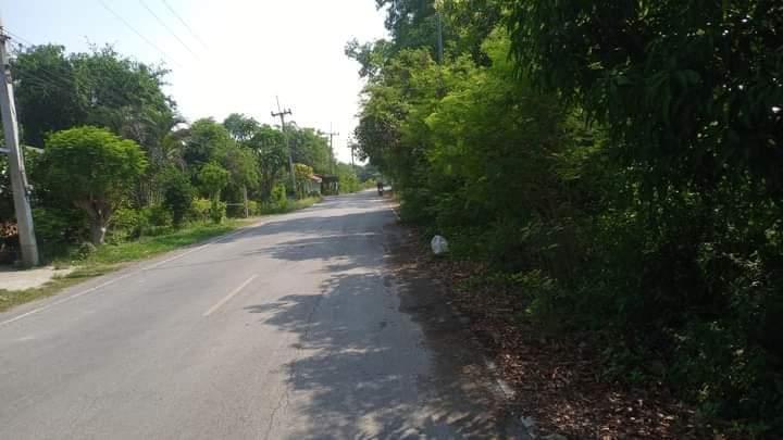 บ้านเดี่ยวพร้อมที่ดิน 4