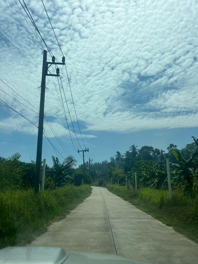 ขายที่ดินวิวทะเล ทำเลทอง เกาะสมุย 20