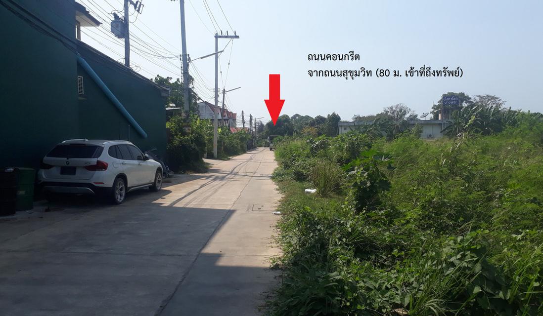 ขายด่วน ที่ดินเปล่าศรีราชา-บางพระ ชลบุรี 7