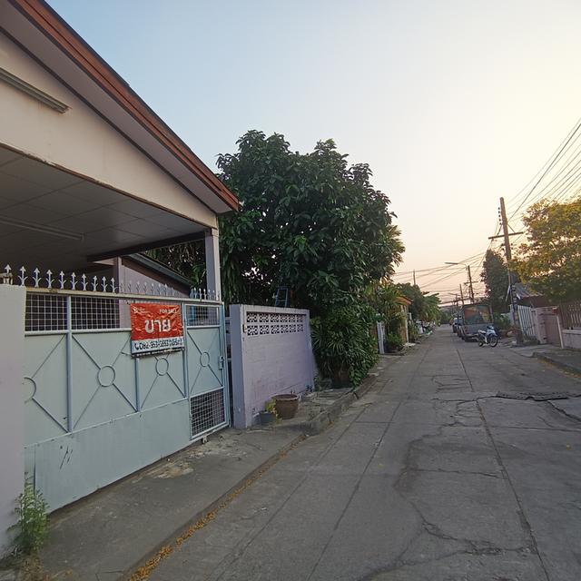 ขายบ้านมือสอง 48ตารางวา 2ห้องนอน1ห้องน้ำ 2