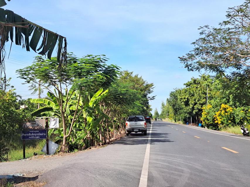 ขายที่ดินคลอง 14 หนองเสือ 4 ไร่ (มี 2 แปลงให้เลือก) ปทุมธานี ไร่ละ 890,000 1