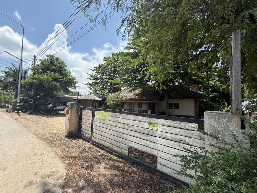 ที่ดินพร้อมบ้าน ที่เชียงราย 2