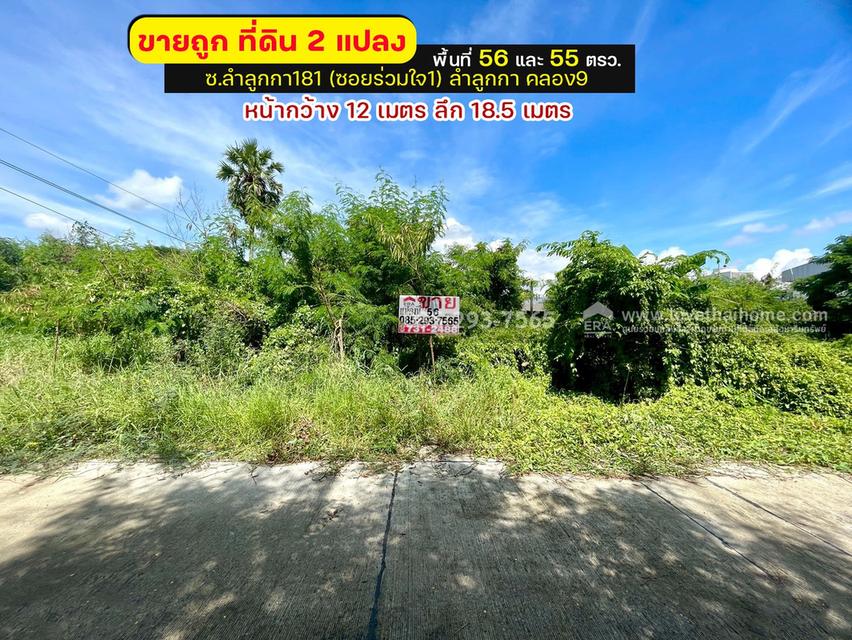 ขายถูกที่ดิน ลำลูกกา คลอง9 ซอยลำลูกกา181 (ซอยร่วมใจ1) พื้นที่ 56 ตารางวา แปลงสี่เหลี่ยมผืนผ้าสวย 1