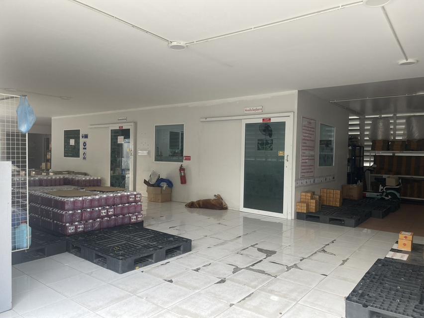 ขายโกดัง/โรงงานตะเคียนเตี้ย 2 ไร่(825ตรม.) พร้อมใบอภ.2 ติดถนน2ด้าน ใกล้ท่าเรือแหลมฉบัง-5กม. อ.บางละมุง ชลบุรี 5