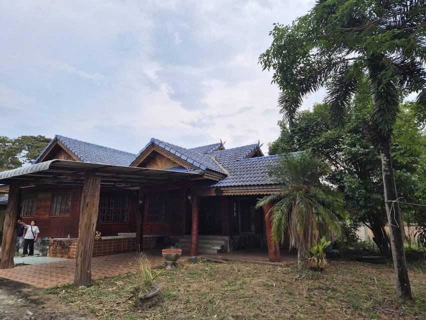 บ้าน บ้านเดี่ยวพร้อมที่ดิน 1