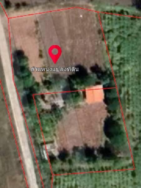 ขายที่ดิน ต.โนนเมือง อ.ขามสะแกแสง นครราชสีมา 1