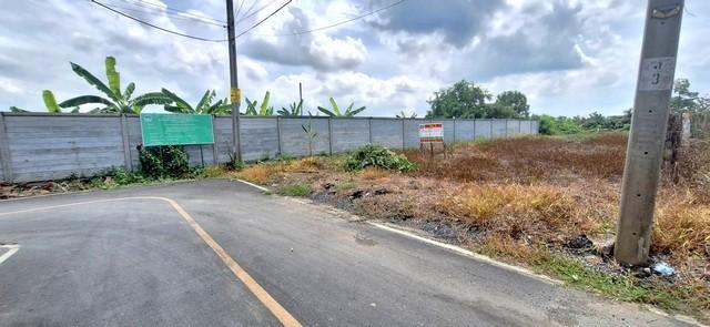 ที่ดินเปล่า 110 ตรว. แปลงมุม ถมแล้ว บางคูวัด บางบัวทอง นนทบุรี 2