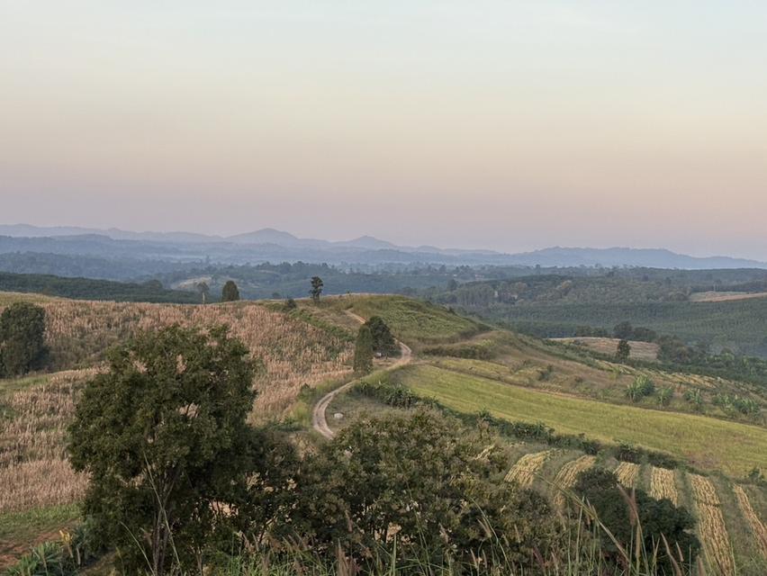 ⛰️ จุดที่สูงที่สุดและสวยที่สุด อ.น้ำหนาว จ.เพชรบูรณ์ 30ไร่ 6 ล้านบาท ห่างจากถนนเส้นหลัก(2216) 🛣️ แค่ 600 เมตร ห่างตัวเมือง1กิโล 3