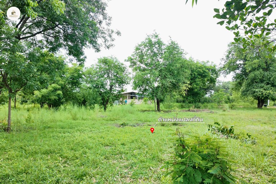 ขายบ้านพร้อมที่ดิน 2 ไร่ 2 งาน 19 ตร.ว. โฉนดครุฑแดง วิวภูเขา ต.วังชมภู เพชรบูรณ์ 6