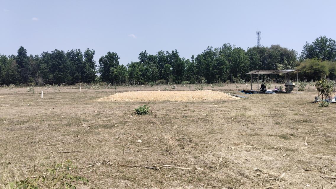 บ้านและที่ดินเงินสดเงินผ่อน 7