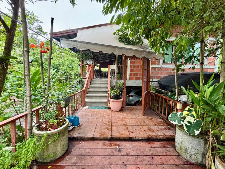 ขายบ้านสวน 5ไร่ ใกล้วัดป่าบ้านตาด 2