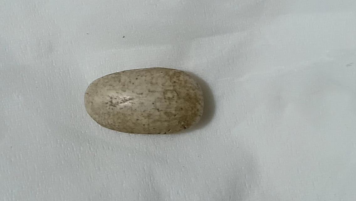 พระผงสมเด็จวัดพลับ พิมพ์สมาธิเล็ก รูปที่ 3