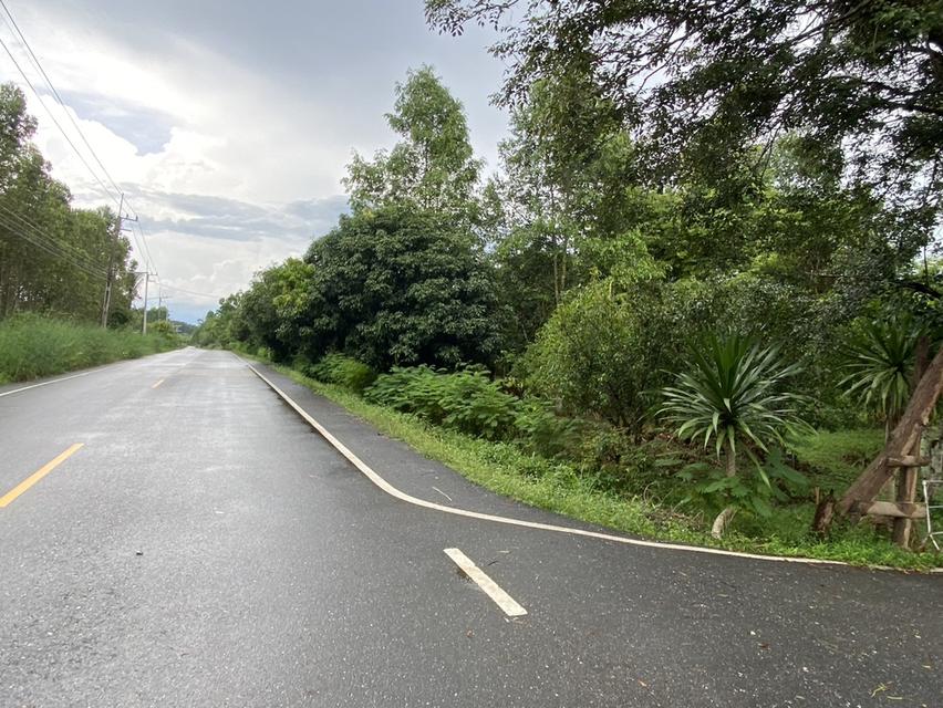 ขายที่ดินพร้อมบ้าน เนื้อที่ 365 ตารางวา อ.เกาะจันทร์ จ.ชลบุรี 9