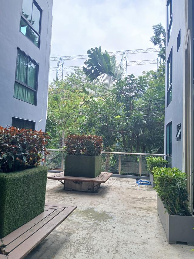 ให้เช่า Condo Zenith place สุขุมวิท 42 ใกล้ BTS สถานีเอกมัย 6