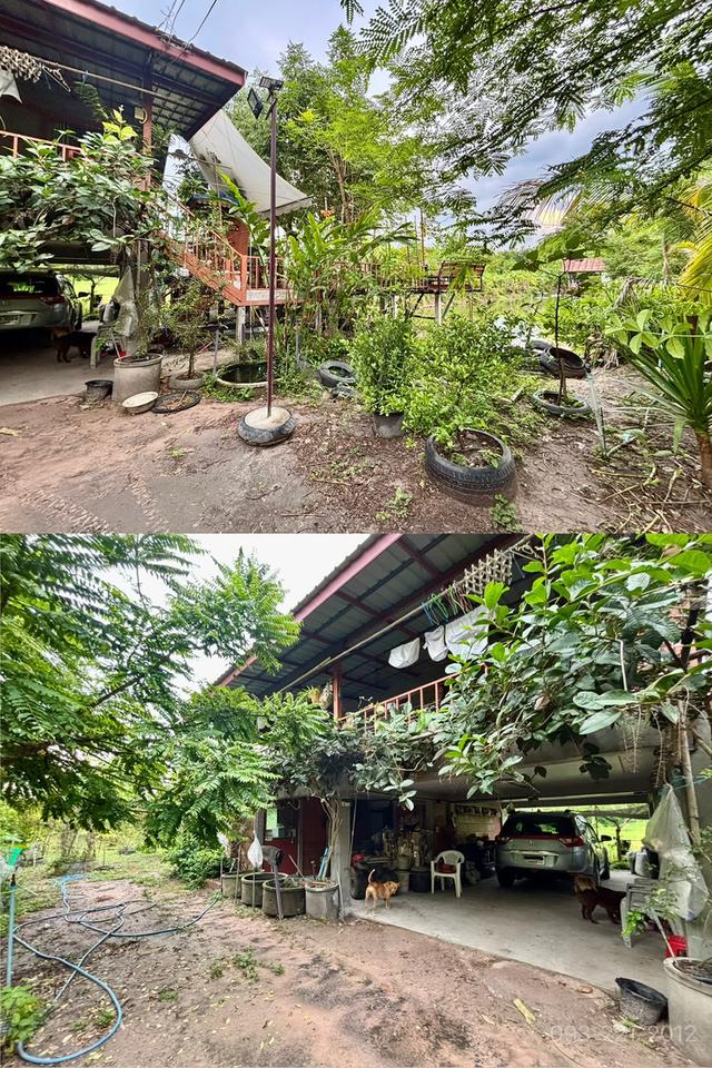 ขายบ้านสวน 5ไร่ ใกล้วัดป่าบ้านตาด 5