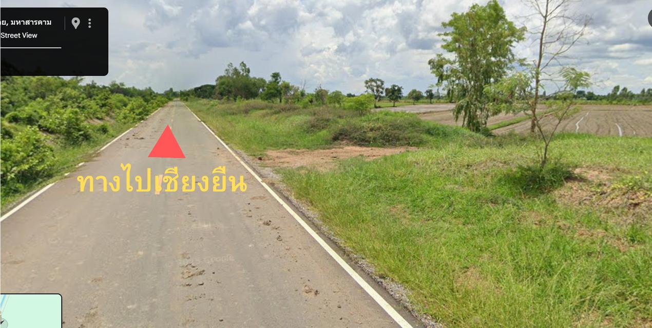 ขายที่ดินมหาสารคาม โกสุมพิสัย 5