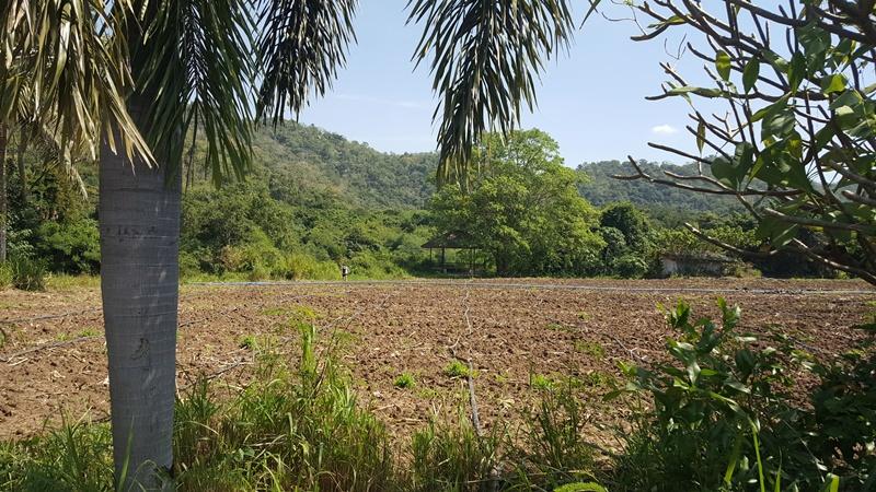 ขายที่ดินสวยติดแม่น้ำป่าสัก วิวภูเขาล้อมรอบ อำเภอแก่งคอย จังหวัดสระบุรี 4