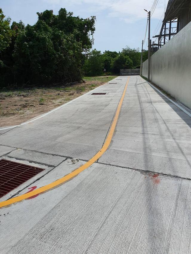 ขายที่ดินหนองรี 10 ไร่ ติดถนนคอนกรีตหนองรี-ท้องคุ้งซอย12 ใกล้ถนนเลี่ยงเมือง365-2กม. เมืองชลบุรี 7