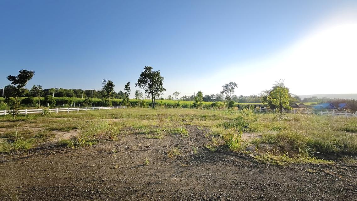ที่ดิน " วิวภูเขา " อากาศดี ใกล้วังน้ำเขียว ใกล้ทางหลวง 304 วิวภูเขาลอมรอบ ภูหลวง ปักธงชัย นครราชสีมา มีให้เป็นเจ้าของอีก 5 แปลง เท่านั้น 16