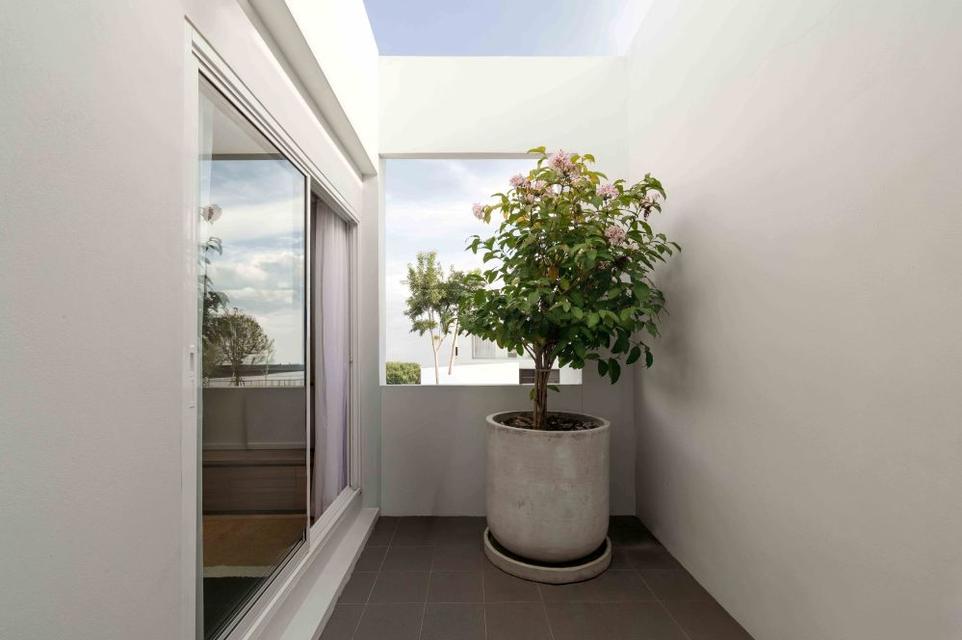 ขายบ้านแฝด 2 ชั้น โครงการ HOLM 2 - สันพระเนตร เชียงใหม่ พร้อมเข้าอยู่ ทำเลดี ใกล้เซ็นทรัลเฟสติวัล 13