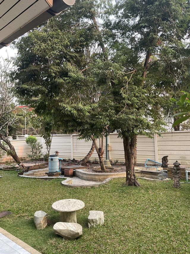 ปล่อยให้เช่าบ้านเดี่ยว พร้อมอยู่ 19