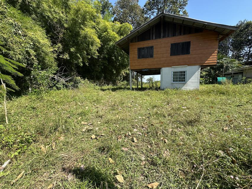 ขายด่วนที่ดินแถมบ้าน อำเภอเมืองอุบลราชธานี ใกล้สนามบินอุบล 10